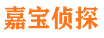 洞口市调查公司